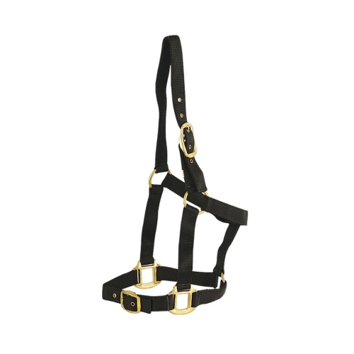 Nylon Halters