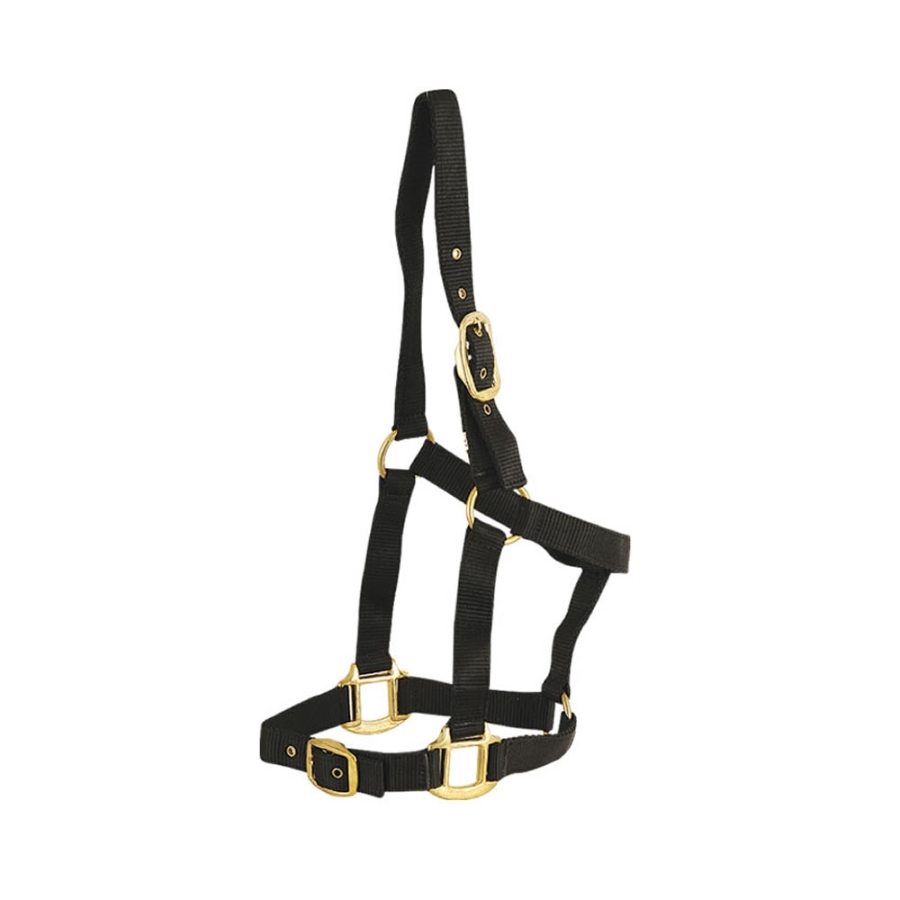 Nylon Halters