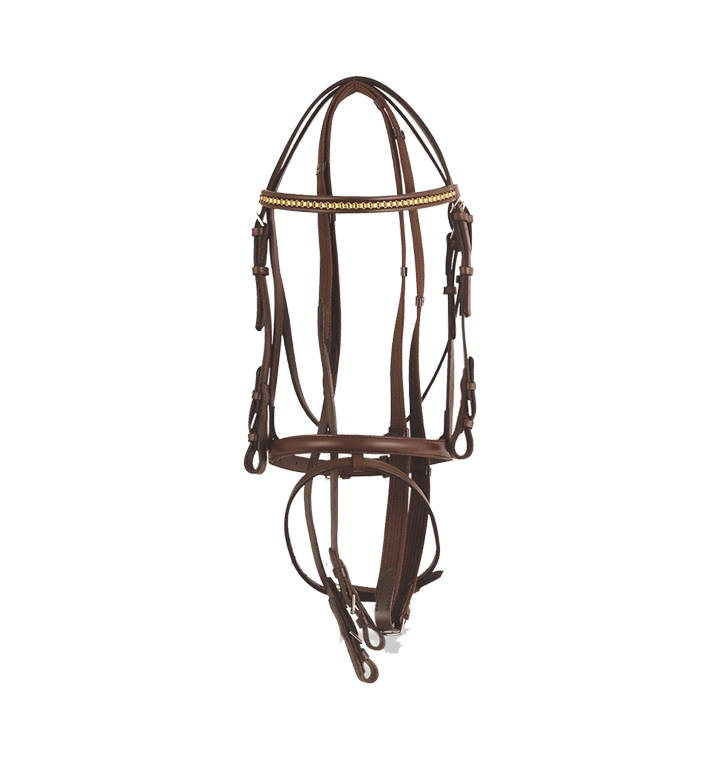 Leather Bridles